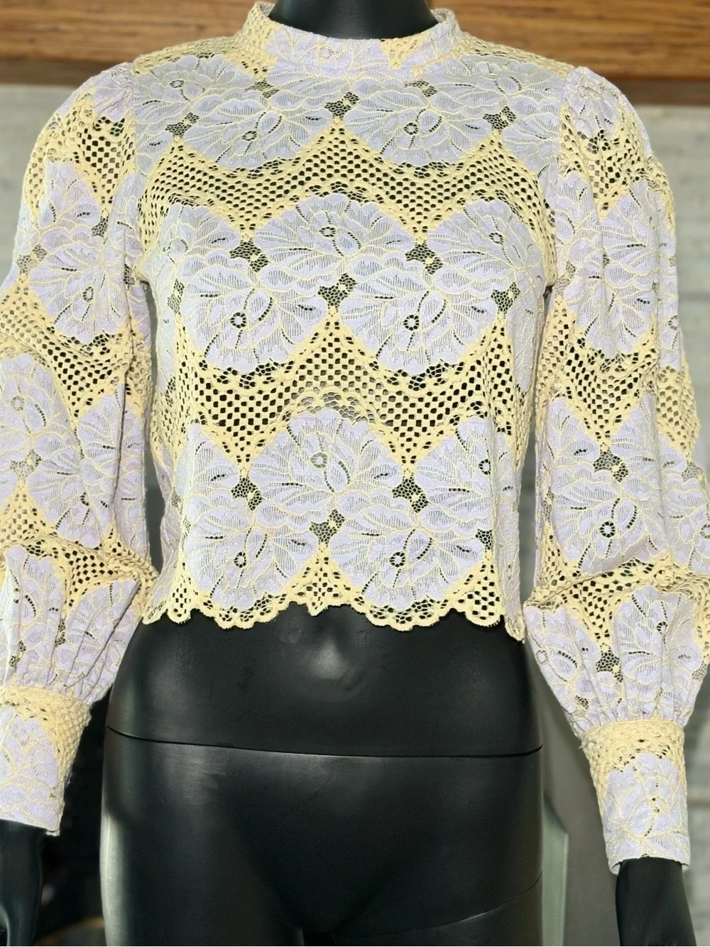 Dolan Left Coast Mock-Neck Lace Blouse (Anthropologie) - Size XXS
